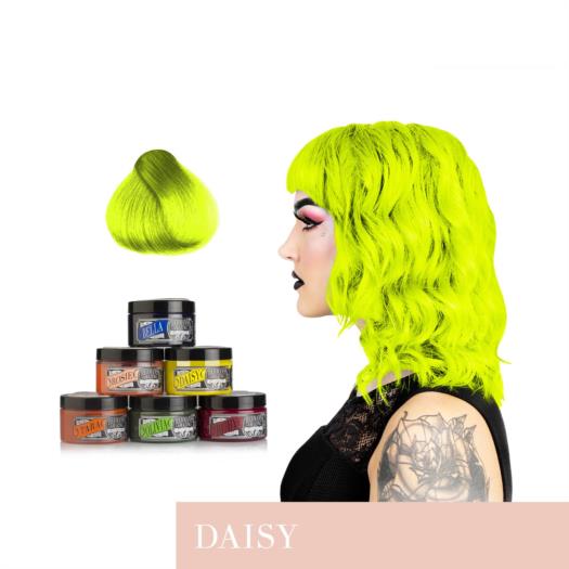 13 - Daisy